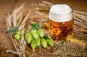 How Beer is Made - From Ingredients to Fermentation (1)