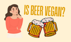 Is Beer Vegan - everything need to know